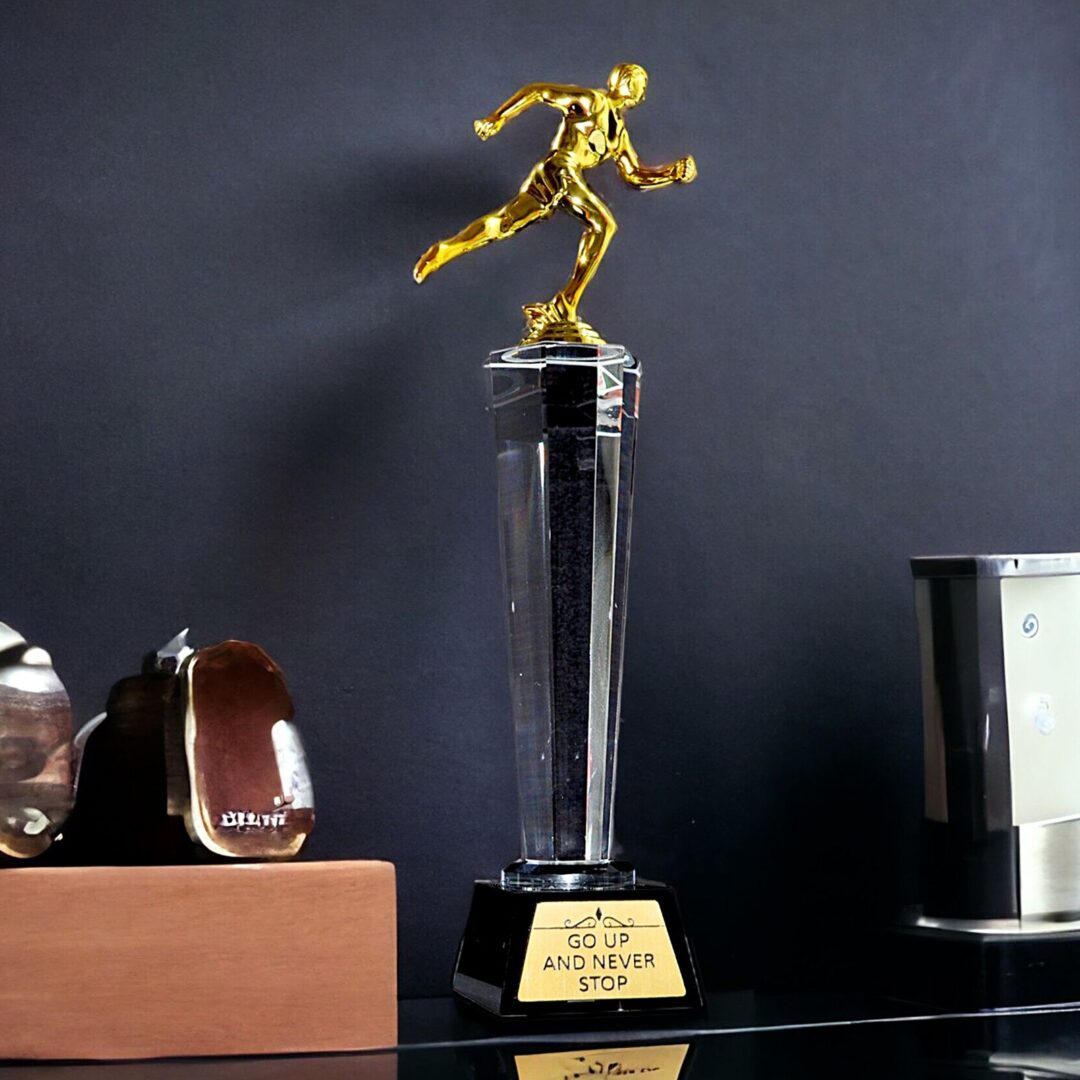 vlera art - trofe kristali i personalizuar - trofe mirenjohje - trofe per vrapues- trofe per atlete - trofe vitin e ri - trofe per 7-8 marsin - trophy - awards-trofe metalik
