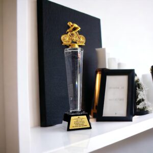 vlera art - trofe kristali i personalizuar - trofe mirenjohje - trofe per cikliste- trofe per çiklizëm- trofe vitin e ri - trofe per 7-8 marsin - trophy - awards-trofe metalik